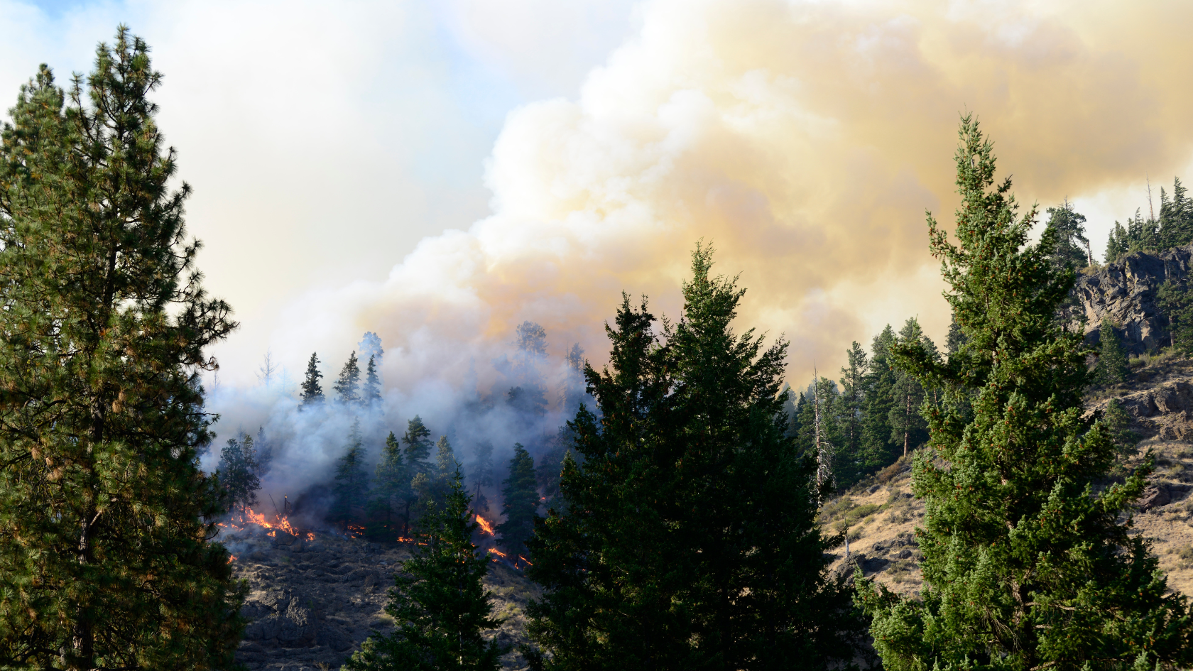 Heavy Smoke Ahead? Here’s How to Navigate Wildfire Conditions